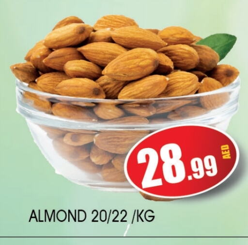 available at Ain Al Madina Hypermarket in UAE - Sharjah / Ajman