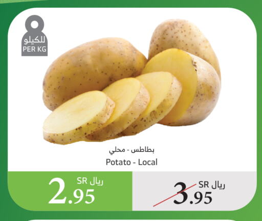 بطاطا available at الراية in مملكة العربية السعودية, السعودية, سعودية - المدينة المنورة