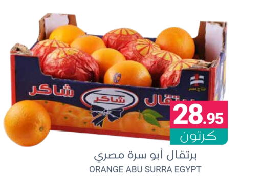 Orange from Egypt available at Muntazah Markets in KSA, Saudi Arabia, Saudi - Qatif