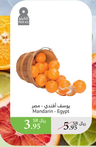 برتقال from Egypt available at الراية in مملكة العربية السعودية, السعودية, سعودية - نجران