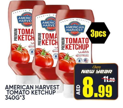 AMERICAN HARVEST Tomato Ketchup available at Leptis Hypermarket  in UAE - Ras al Khaimah