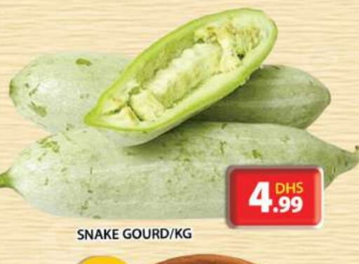 Gourd available at Grand Hyper Market in UAE - Sharjah / Ajman