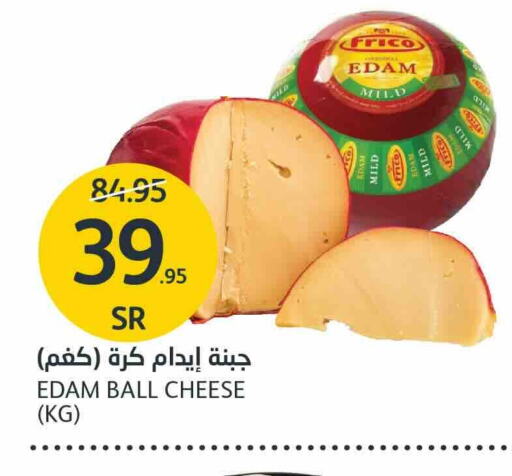 Edam available at AlJazera Shopping Center in KSA, Saudi Arabia, Saudi - Riyadh