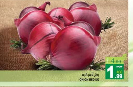 Onion available at Hashim Hypermarket in UAE - Sharjah / Ajman