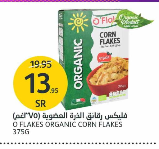 Corn Flakes available at AlJazera Shopping Center in KSA, Saudi Arabia, Saudi - Riyadh