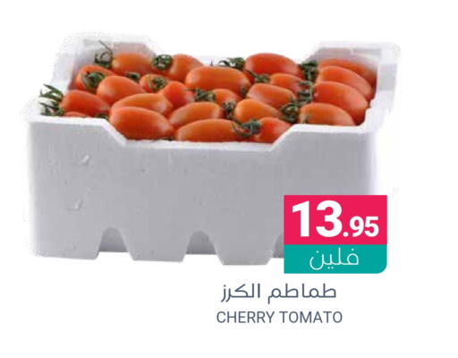 Tomato available at Muntazah Markets in KSA, Saudi Arabia, Saudi - Qatif