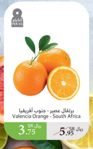 برتقال from South Africa available at الراية in مملكة العربية السعودية, السعودية, سعودية - أبها