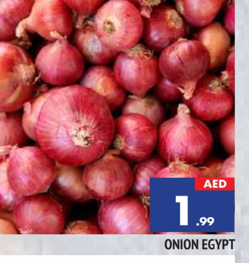 بصل from Egypt available at المدينة in الإمارات العربية المتحدة , الامارات - الشارقة / عجمان