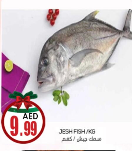 available at سوق المبارك هايبرماركت in الإمارات العربية المتحدة , الامارات - الشارقة / عجمان