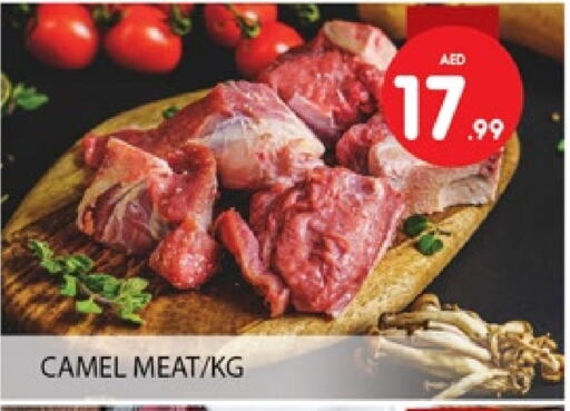 Camel meat available at Al Madina  in UAE - Dubai