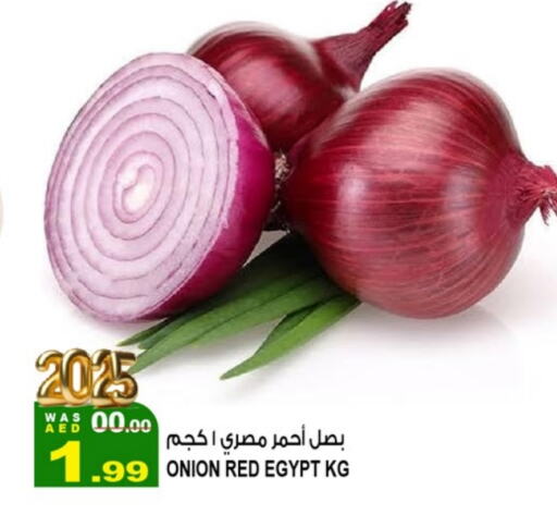 بصل from Egypt available at هاشم هايبرماركت in الإمارات العربية المتحدة , الامارات - الشارقة / عجمان