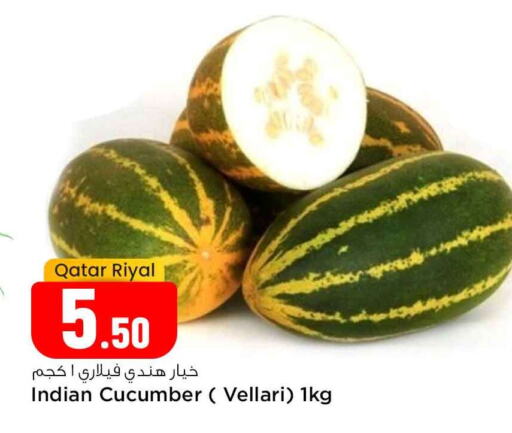 Cucumber from Qatar India available at Safari Hypermarket in Qatar - Al-Shahaniya