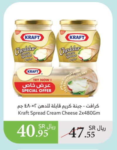 Cheddar Cheese available at Al Raya in KSA, Saudi Arabia, Saudi - Jazan