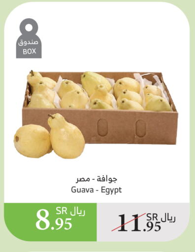 Guava from Egypt available at الراية in مملكة العربية السعودية, السعودية, سعودية - جازان