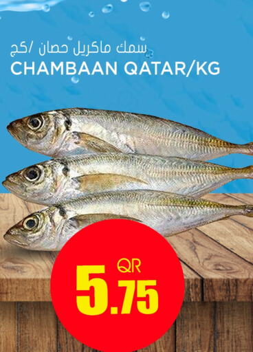 available at Grand Hypermarket in Qatar - Al Rayyan