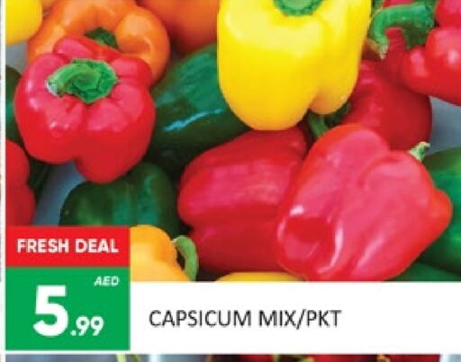 Chilli / Capsicum available at Al Madina  in UAE - Dubai