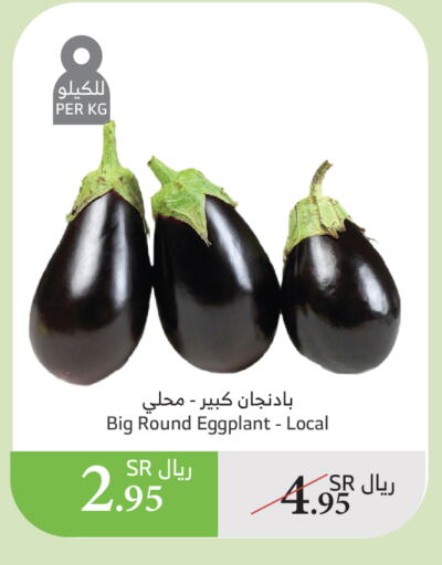 Eggplant available at Al Raya in KSA, Saudi Arabia, Saudi - Najran