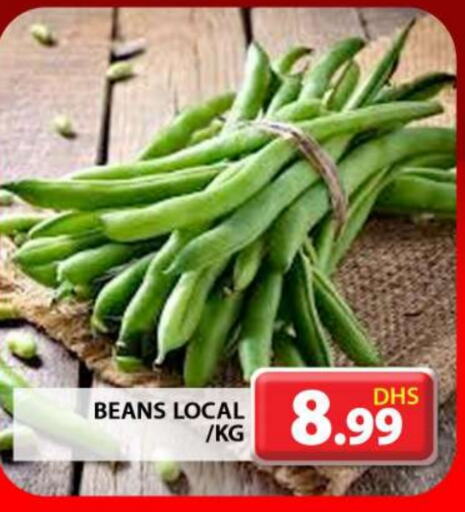 Beans available at Grand Hyper Market in UAE - Dubai