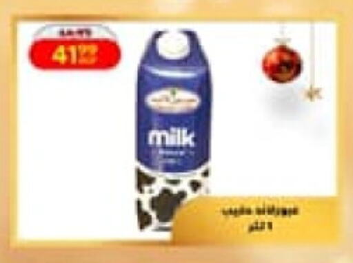 available at داون تاون العرب  in Egypt - القاهرة