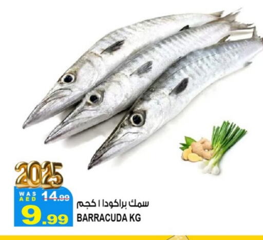 available at هاشم هايبرماركت in الإمارات العربية المتحدة , الامارات - الشارقة / عجمان