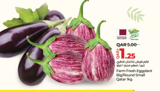 Eggplant from Qatar available at LuLu Hypermarket in Qatar - Al Daayen