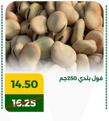 available at Green Tree Hypermarket - Sohag in Egypt - Cairo