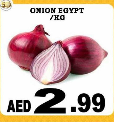 بصل from Egypt available at المدينة in الإمارات العربية المتحدة , الامارات - دبي