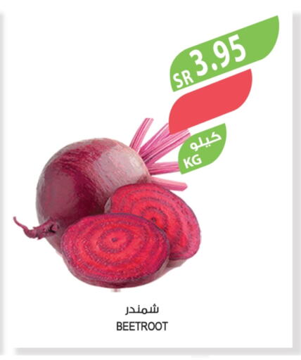 Beetroot available at Farm  in KSA, Saudi Arabia, Saudi - Najran