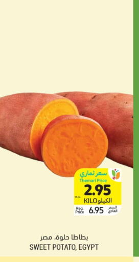 Sweet Potato available at Tamimi Market in KSA, Saudi Arabia, Saudi - Tabuk