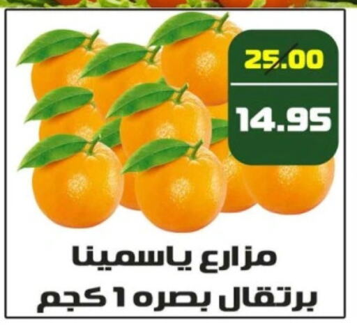 Orange available at Mekkawy market  in Egypt - Cairo