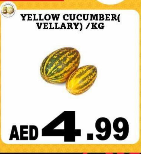 Cucumber available at Al Madina  in UAE - Dubai