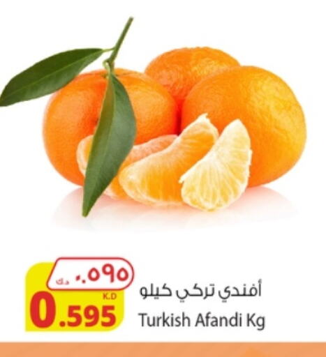 Orange from Turkey available at Agricultural Food Products Co. in Kuwait - Kuwait City