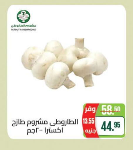 available at سعودي سوبرماركت in Egypt - القاهرة