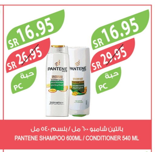 PANTENE Shampoo / Conditioner available at Farm  in KSA, Saudi Arabia, Saudi - Qatif