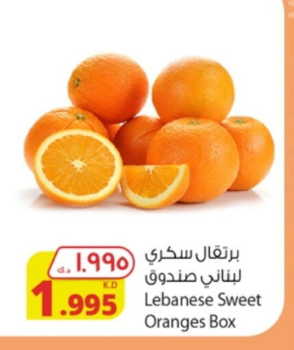 برتقال from Lebanon available at شركة المنتجات الزراعية الغذائية in الكويت - محافظة الأحمدي