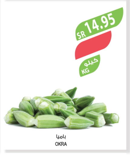 Okra available at المزرعة in مملكة العربية السعودية, السعودية, سعودية - القطيف‎