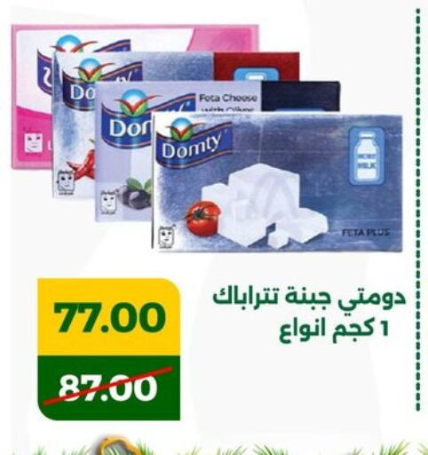 DOMTY available at Green Tree Hypermarket - Sohag in Egypt - Cairo