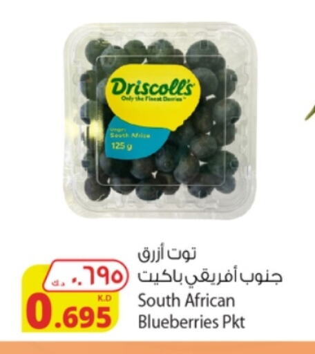 توت from South Africa available at شركة المنتجات الزراعية الغذائية in الكويت - مدينة الكويت