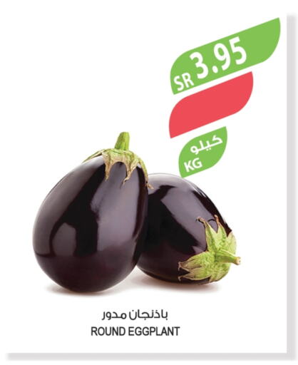 Eggplant available at Farm  in KSA, Saudi Arabia, Saudi - Najran