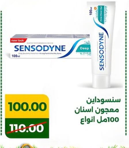 SENSODYNE Toothpaste available at Green Tree Hypermarket - Sohag in Egypt - Cairo