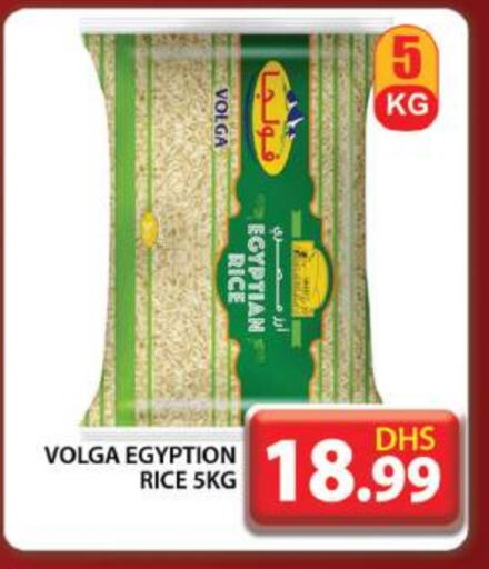 VOLGA Calrose Rice available at Grand Hyper Market in UAE - Dubai