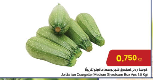 كوسا from Jordan available at مركز سلطان in الكويت - محافظة الأحمدي