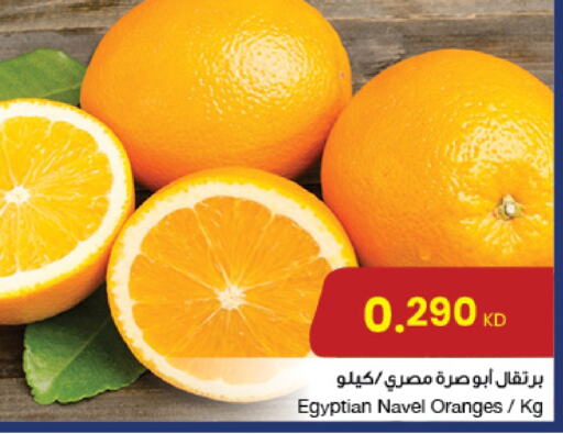 برتقال from Egypt available at مركز سلطان in الكويت - محافظة الأحمدي