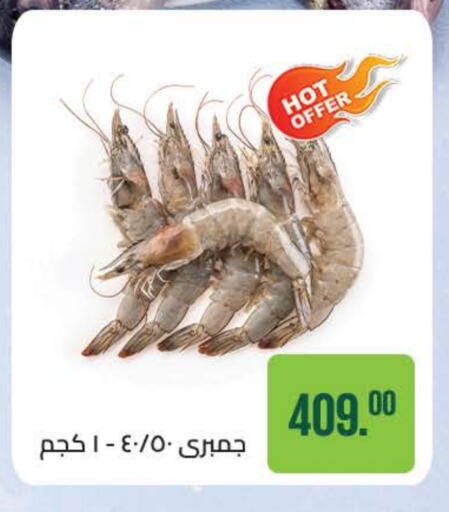 available at Seoudi Supermarket in Egypt - Cairo