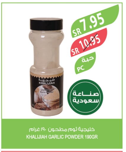 Garlic available at Farm  in KSA, Saudi Arabia, Saudi - Al-Kharj