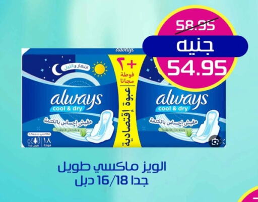 ألويز available at Mekkawy market  in Egypt - القاهرة