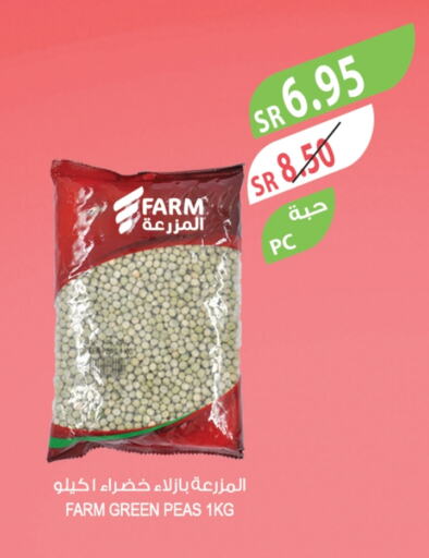 Peas available at Farm  in KSA, Saudi Arabia, Saudi - Al-Kharj