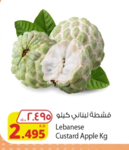 تفاح from Lebanon available at شركة المنتجات الزراعية الغذائية in الكويت - محافظة الأحمدي