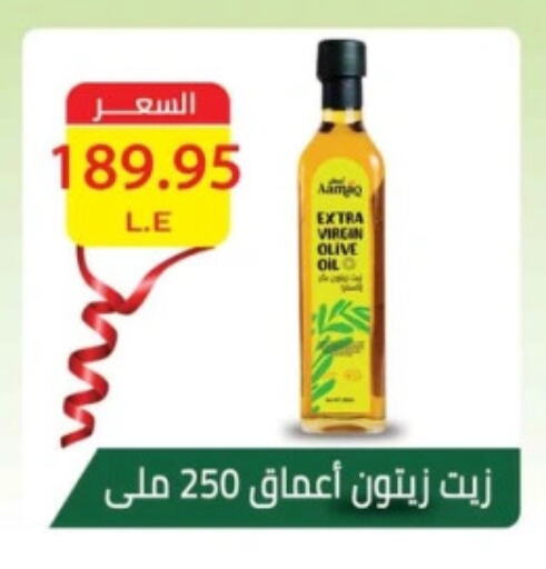 Virgin Olive Oil available at Mekkawy market  in Egypt - Cairo