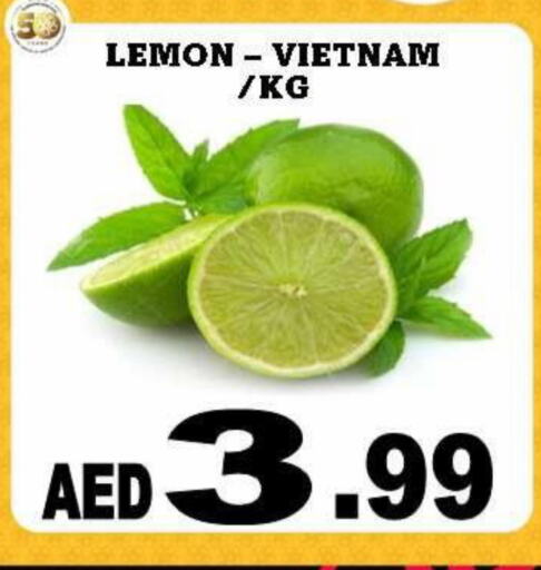 Lemon from Vietnam available at Al Madina  in UAE - Dubai